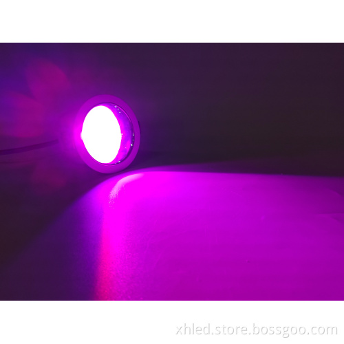 Commercial Surface Mounted Downlights for Indoor Lighting and Holiday Fixtures